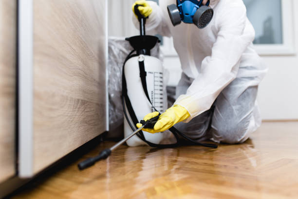 Best Affordable Pest Control Services  in York Harbor, ME